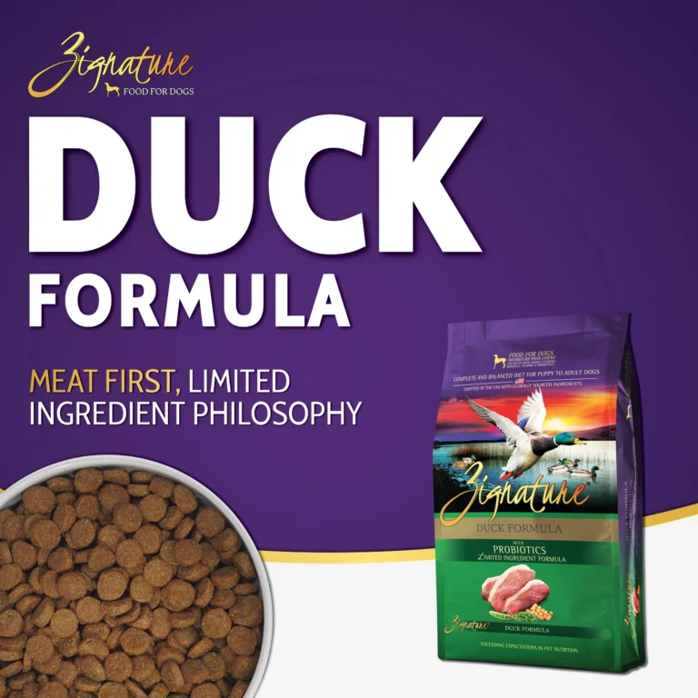 Duck_Ecom_1600x16002