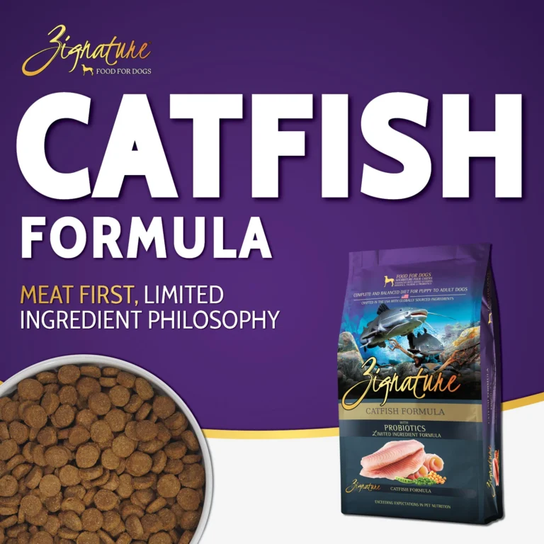 catfish_Ecom_1600x16002