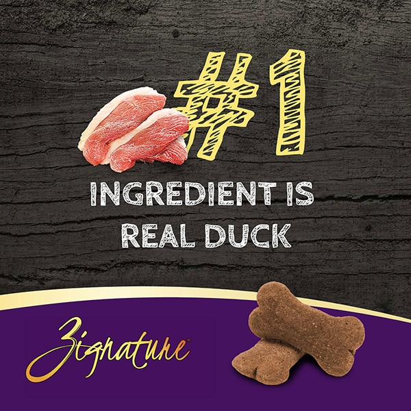 03_Zig_ZB_Duck