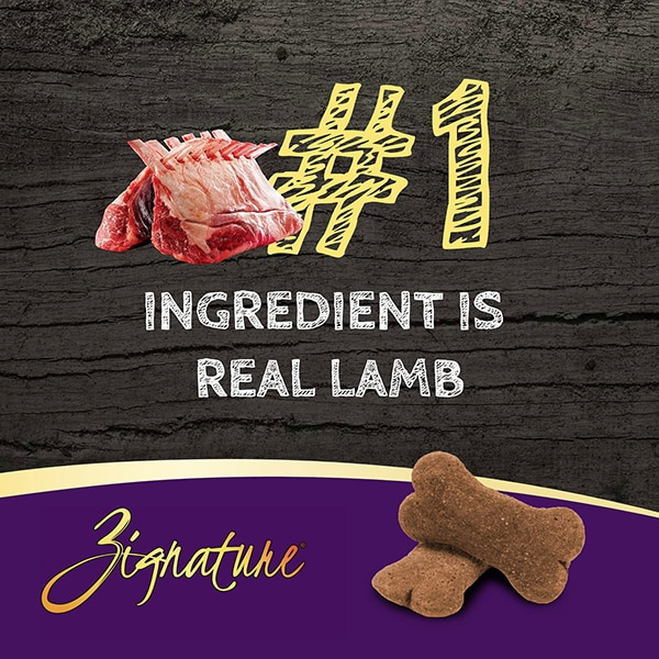 03_Zig_ZB_Lamb