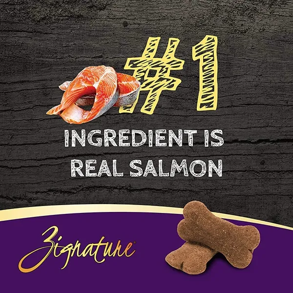03_Zig_ZB_Salmon