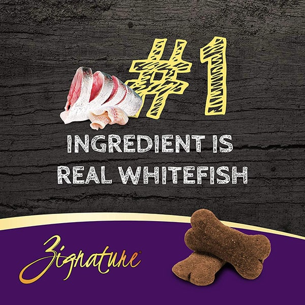 03_Zig_ZB_Whitefish