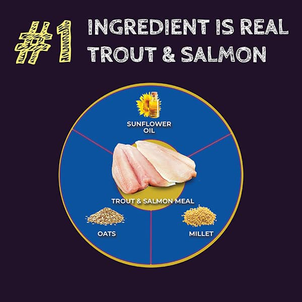03_Zignature_SC_trout
