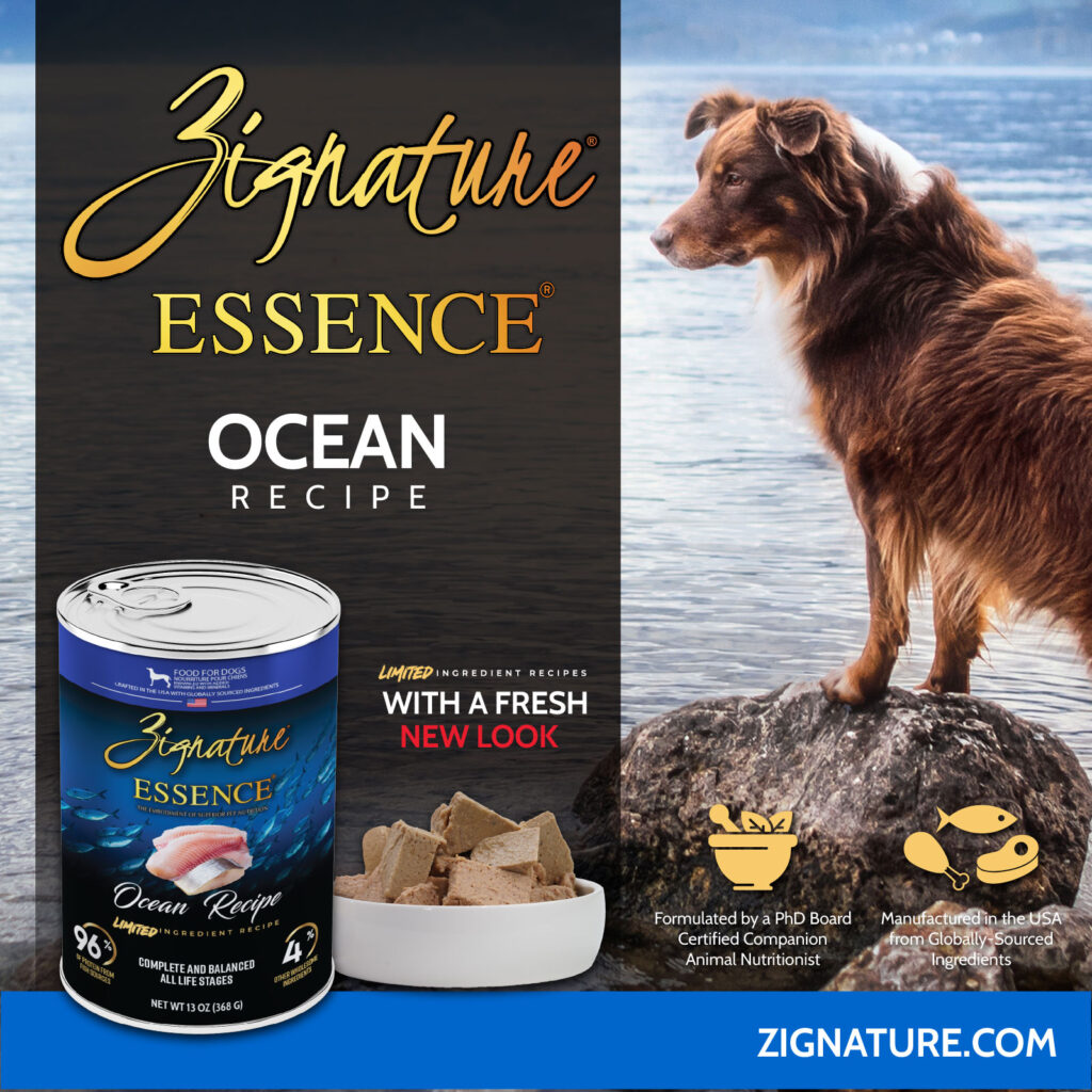 081125_Zig Essence Cans Ecom Graphics_Zig Essence Ocean 1