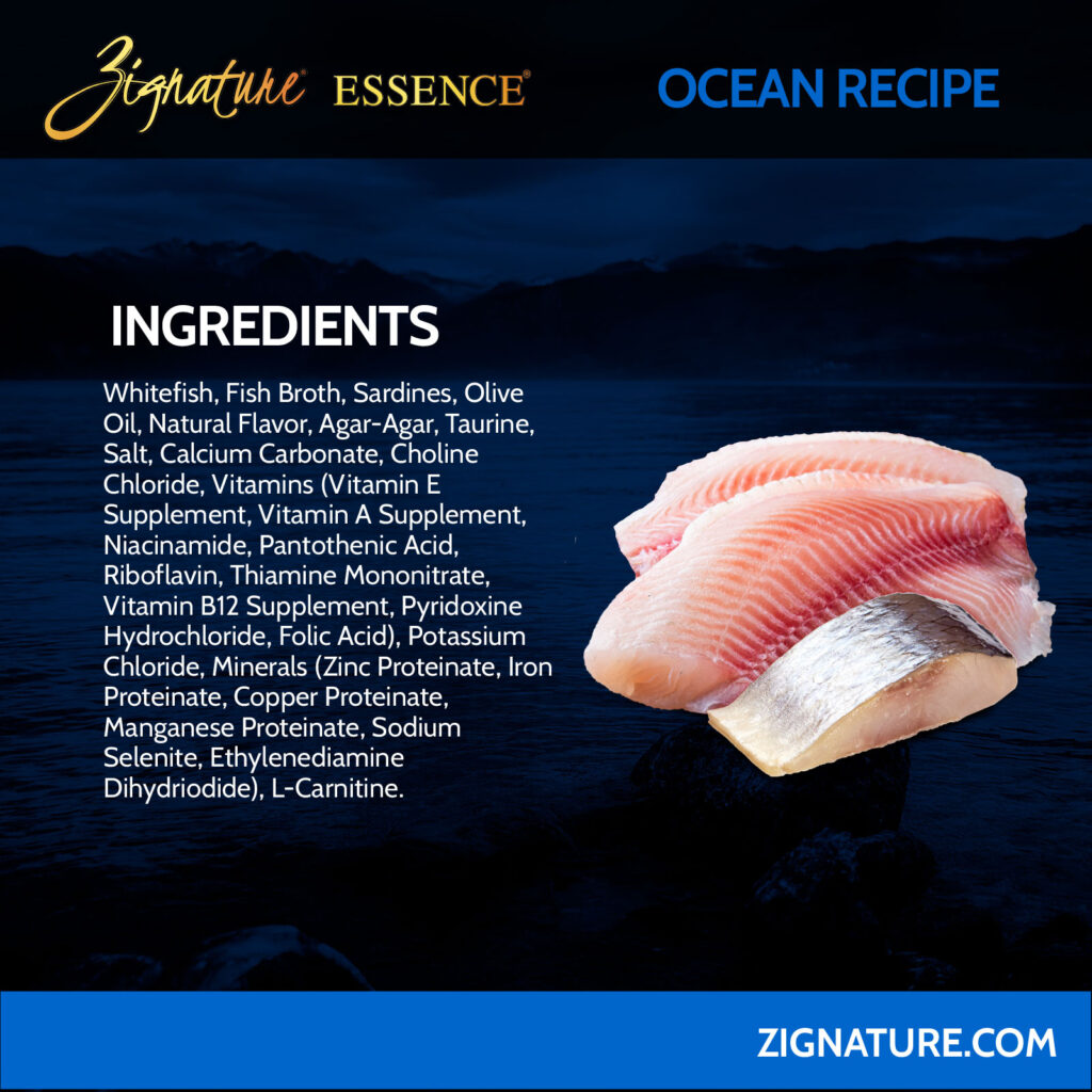 081125_Zig Essence Cans Ecom Graphics_Zig Essence Ocean 3