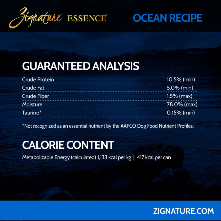 081125_Zig Essence Cans Ecom Graphics_Zig Essence Ocean 4