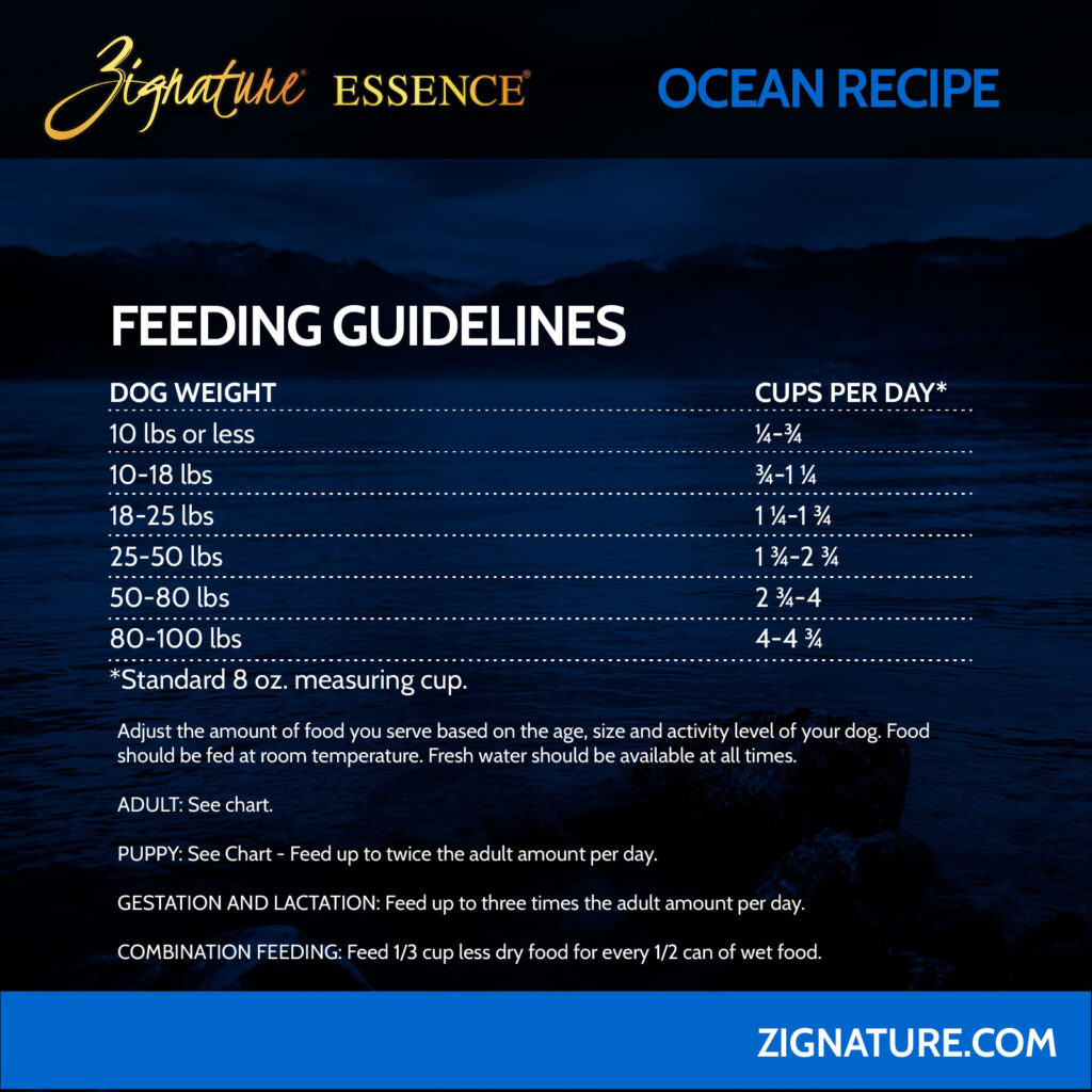 081125_Zig Essence Cans Ecom Graphics_Zig Essence Ocean 5