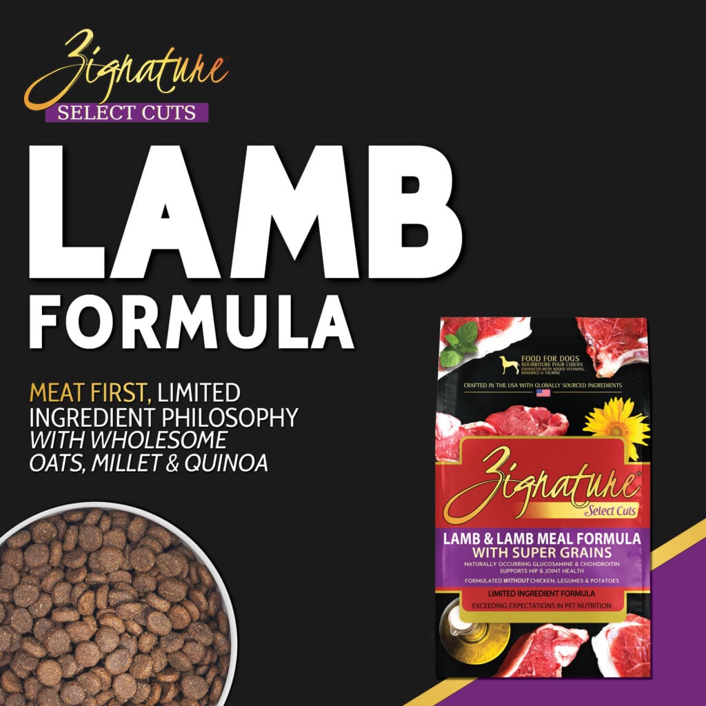 Lamb2