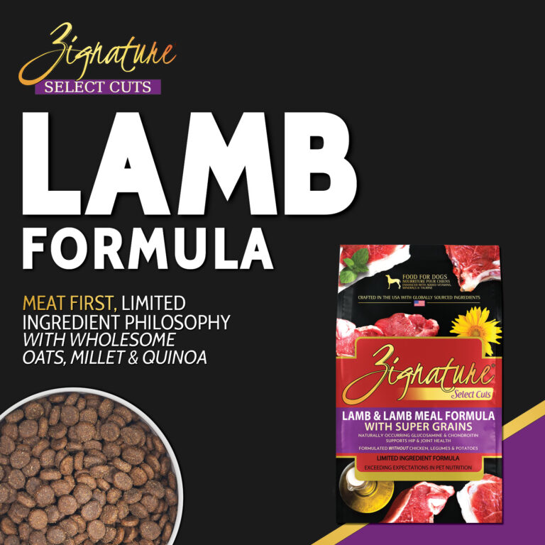 Lamb2