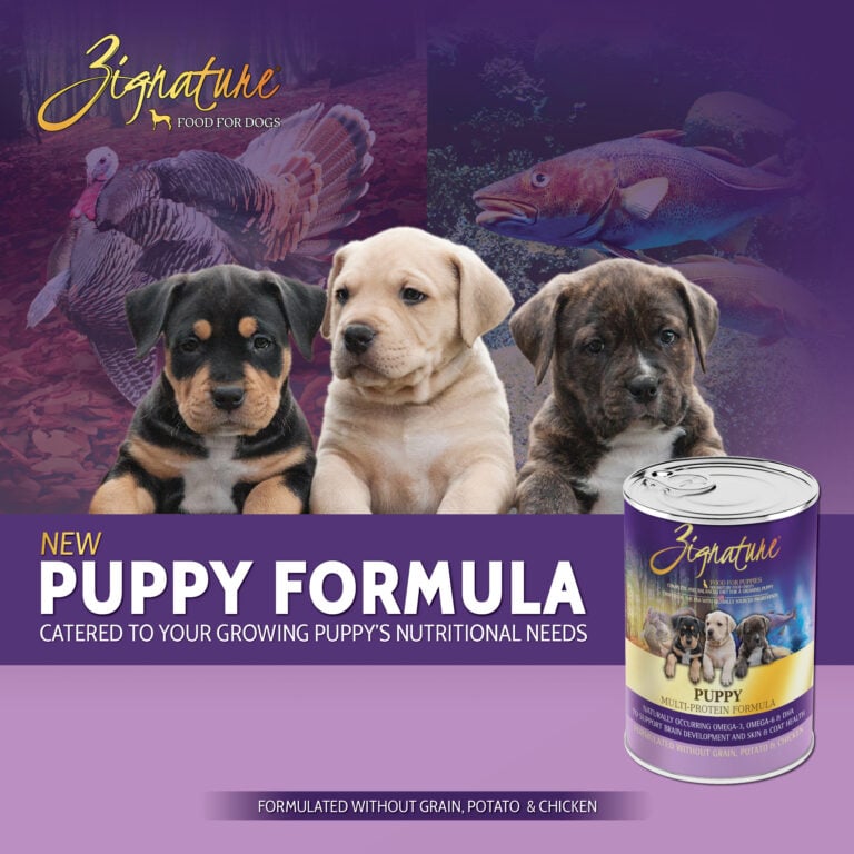 PuppyCan_Ecom_1600x16002