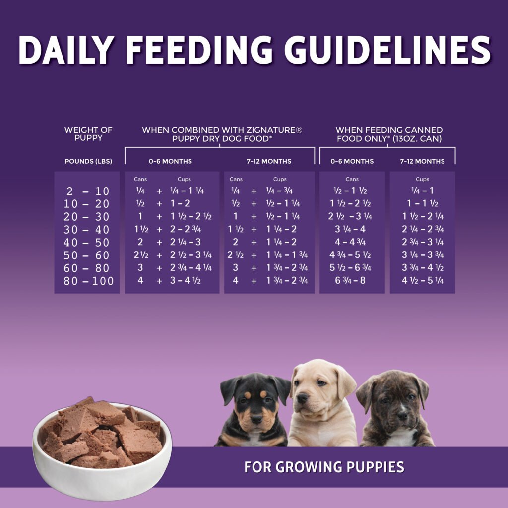 PuppyCan_Ecom_1600x16006