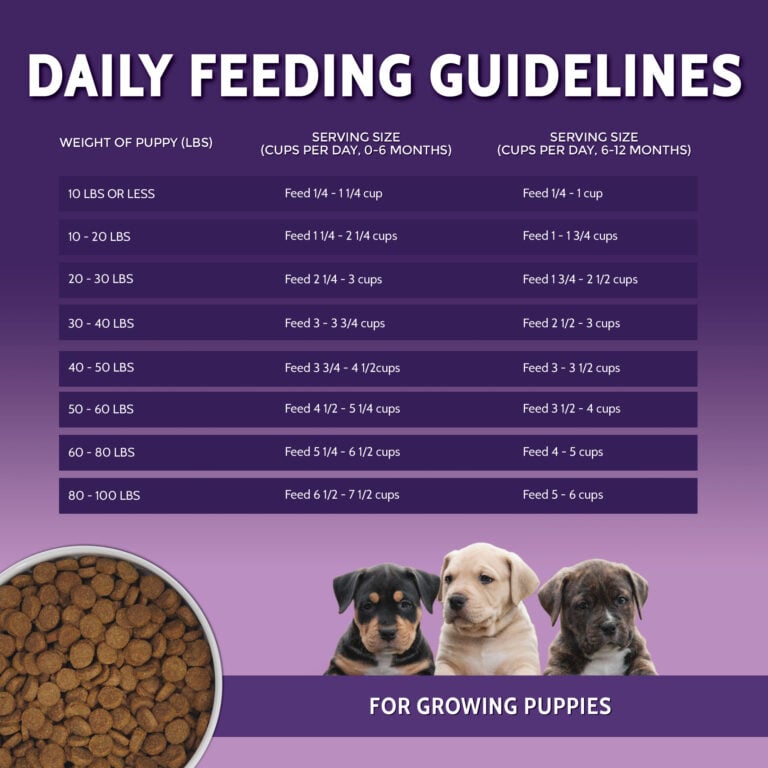Puppy_Ecom_1600x1600_6