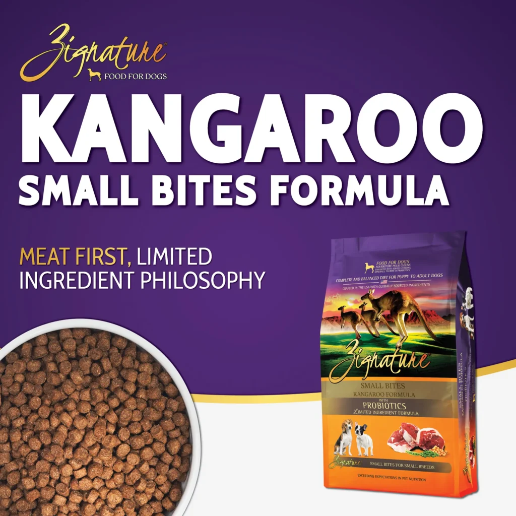 SB_Kangarool_Ecom_1600x16002