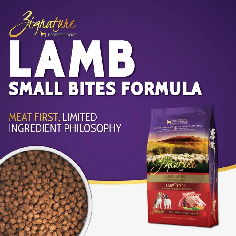 SB_Lamb_Ecom_1600x16002