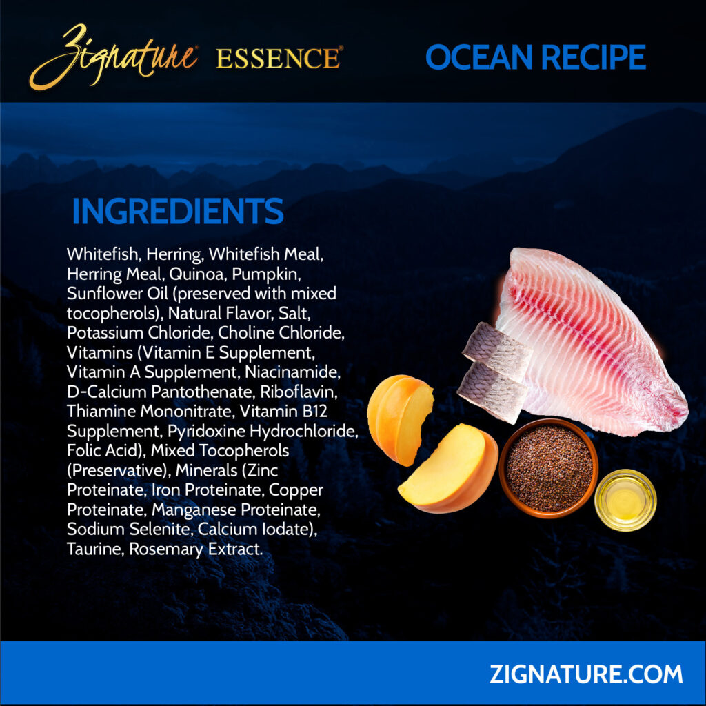 070125_Zig Essence Ecom Graphics