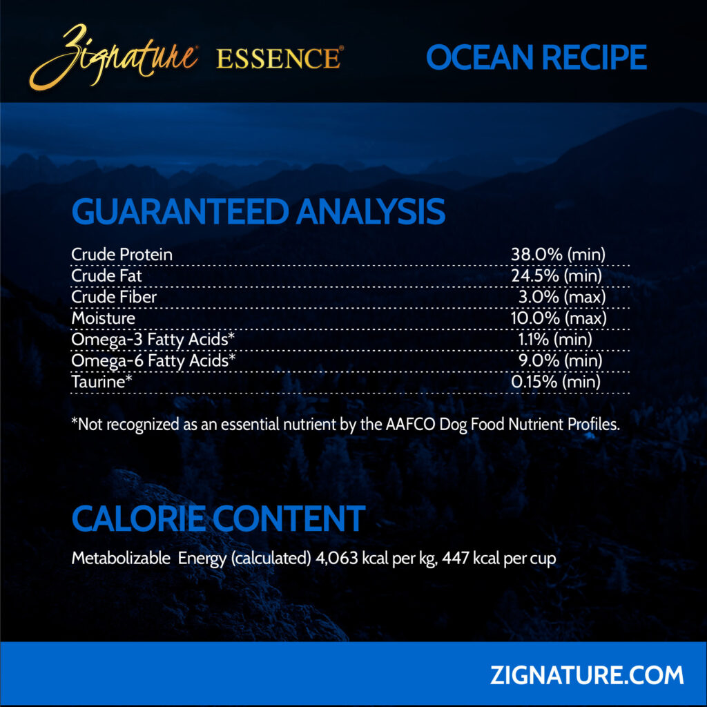 070125_Zig Essence Ecom Graphics