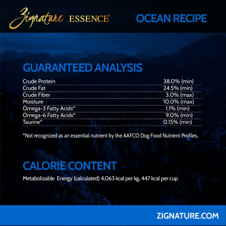 070125_Zig Essence Ecom Graphics
