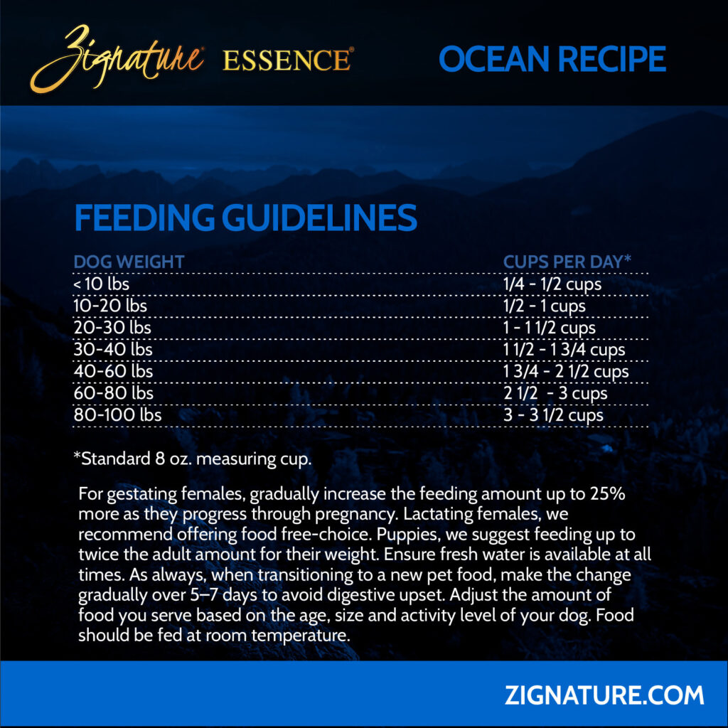 070125_Zig Essence Ecom Graphics