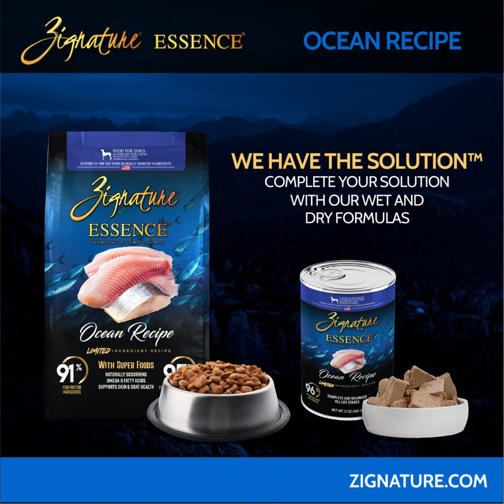 Zig Essence Ocean 6-80