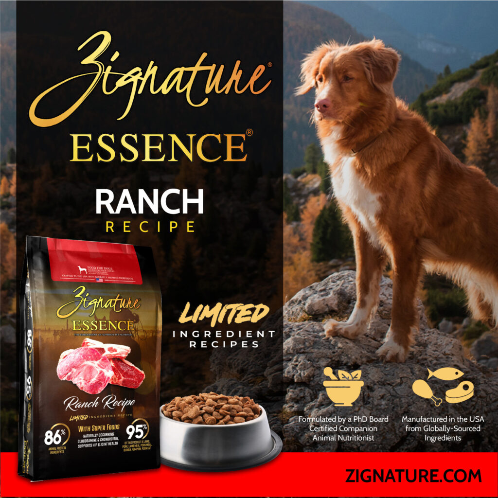 070125_Zig Essence Ecom Graphics