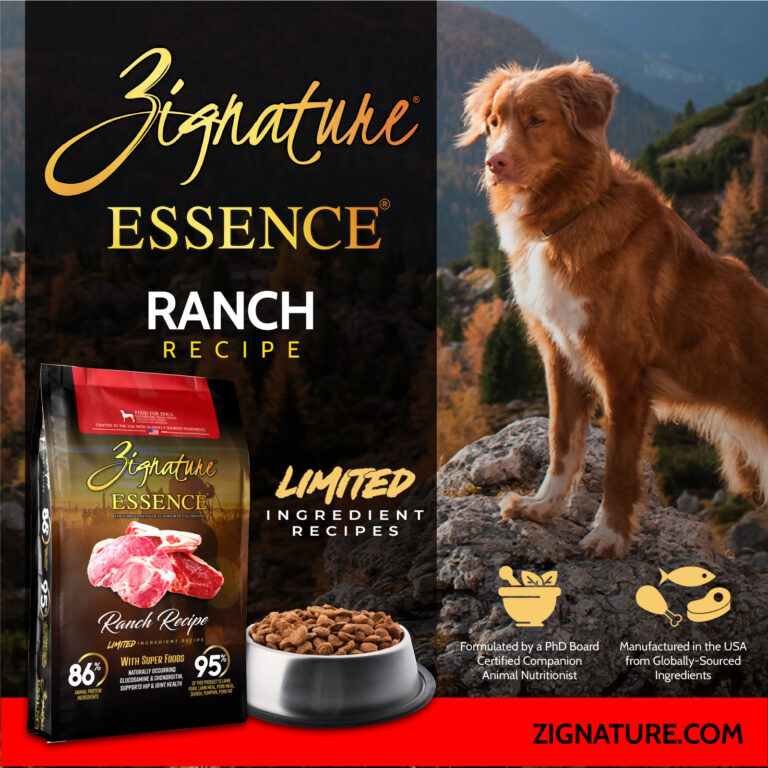 070125_Zig Essence Ecom Graphics