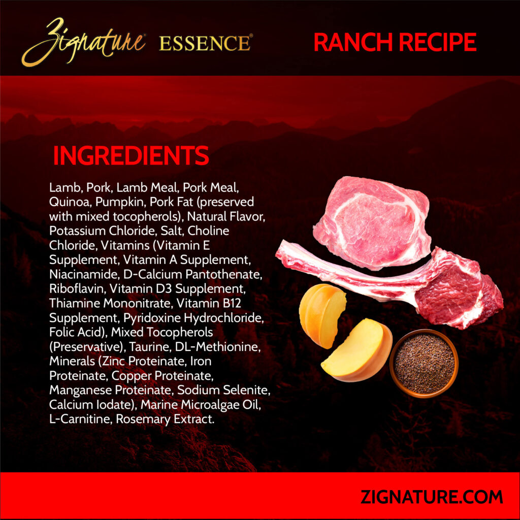 070125_Zig Essence Ecom Graphics