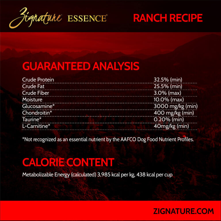 070125_Zig Essence Ecom Graphics