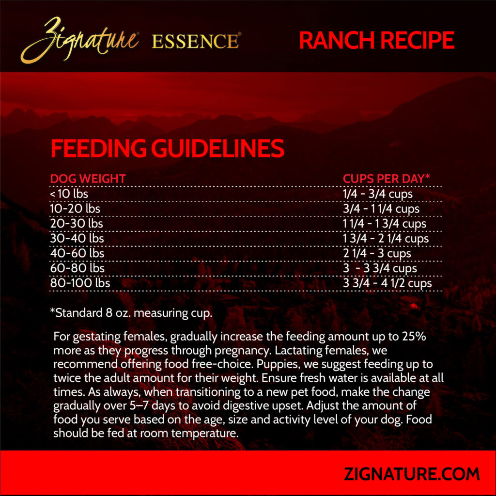 070125_Zig Essence Ecom Graphics