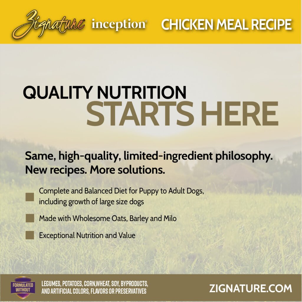 Zig Inception Chicken 2-100