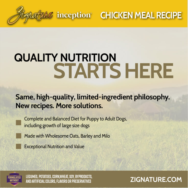 Zig Inception Chicken 2-100