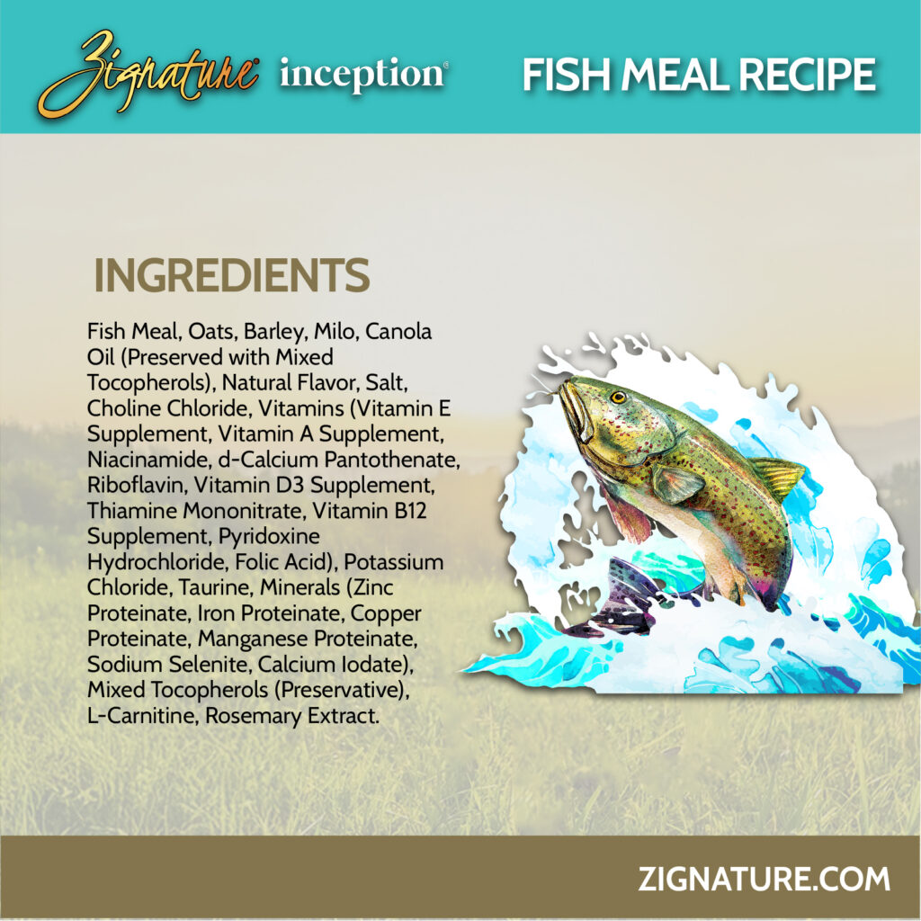 Zig Inception Fish 3-100