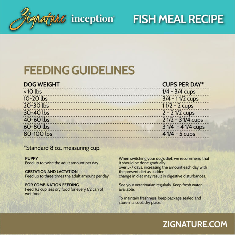 Zig Inception Fish 5-100