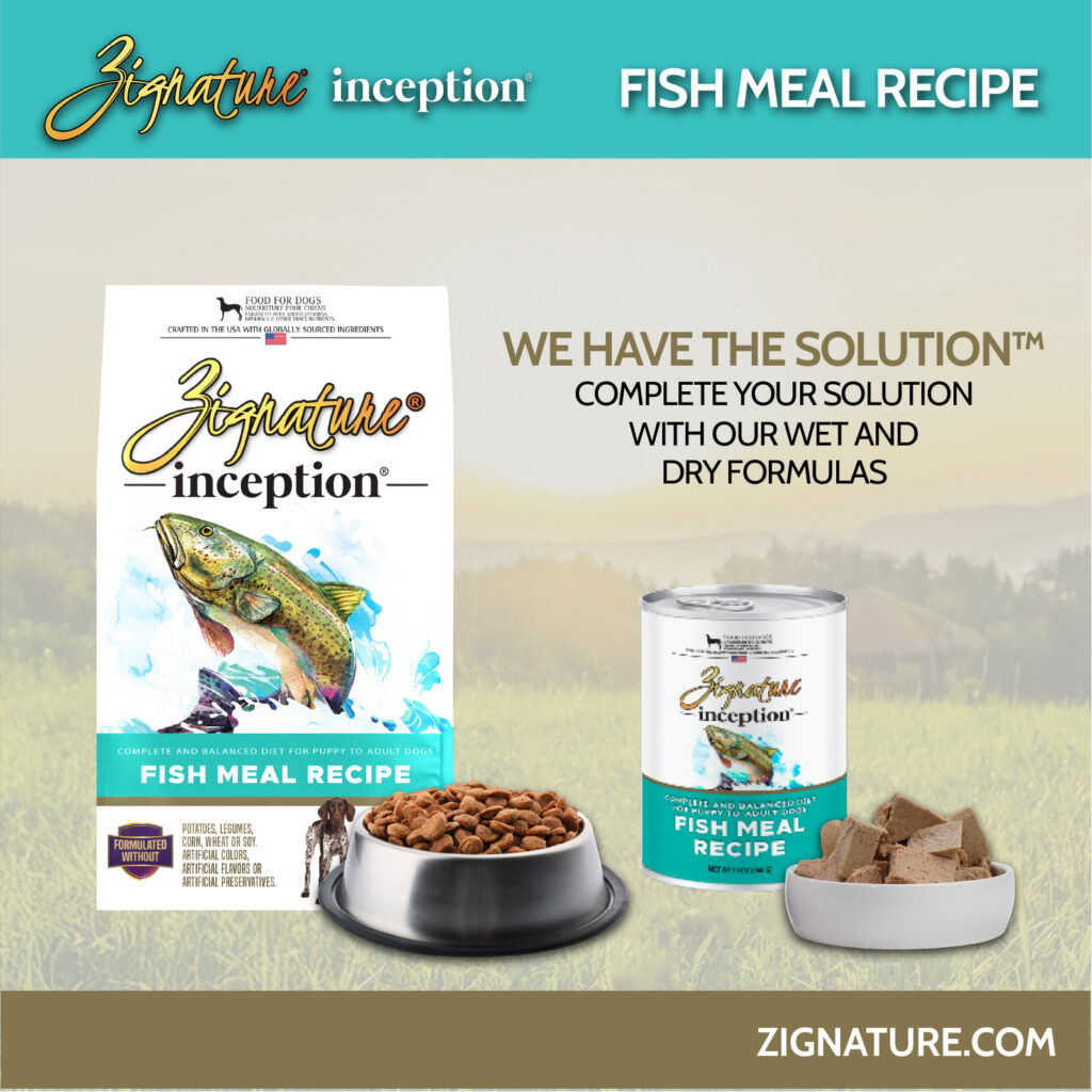 Zig Inception Fish 6-100