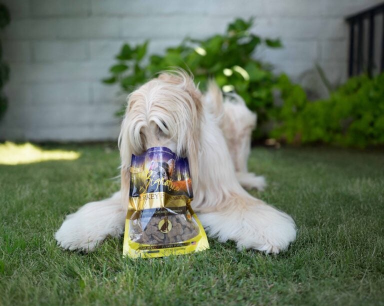 Browse Crunchy Treats