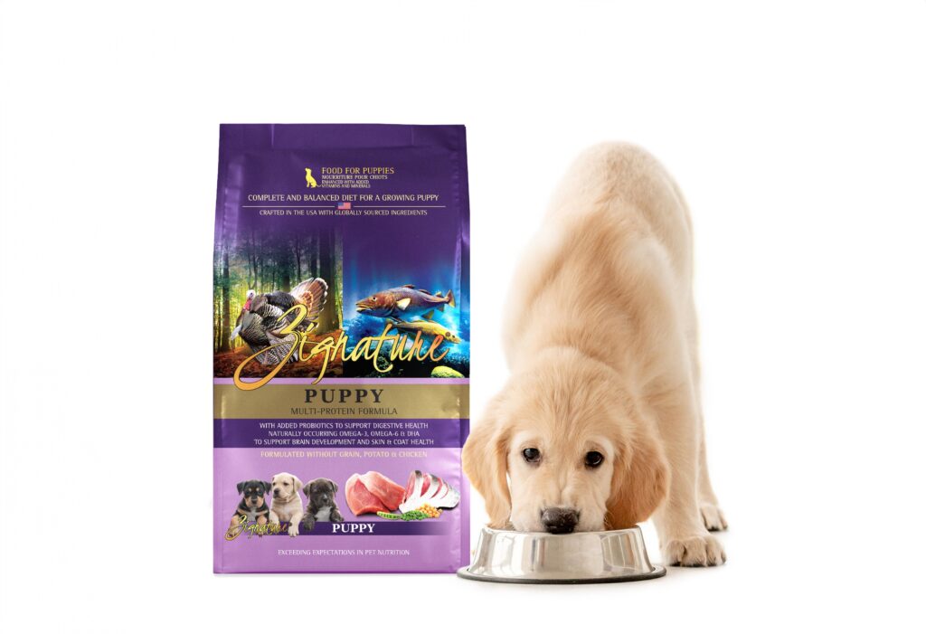 Zig_puppy