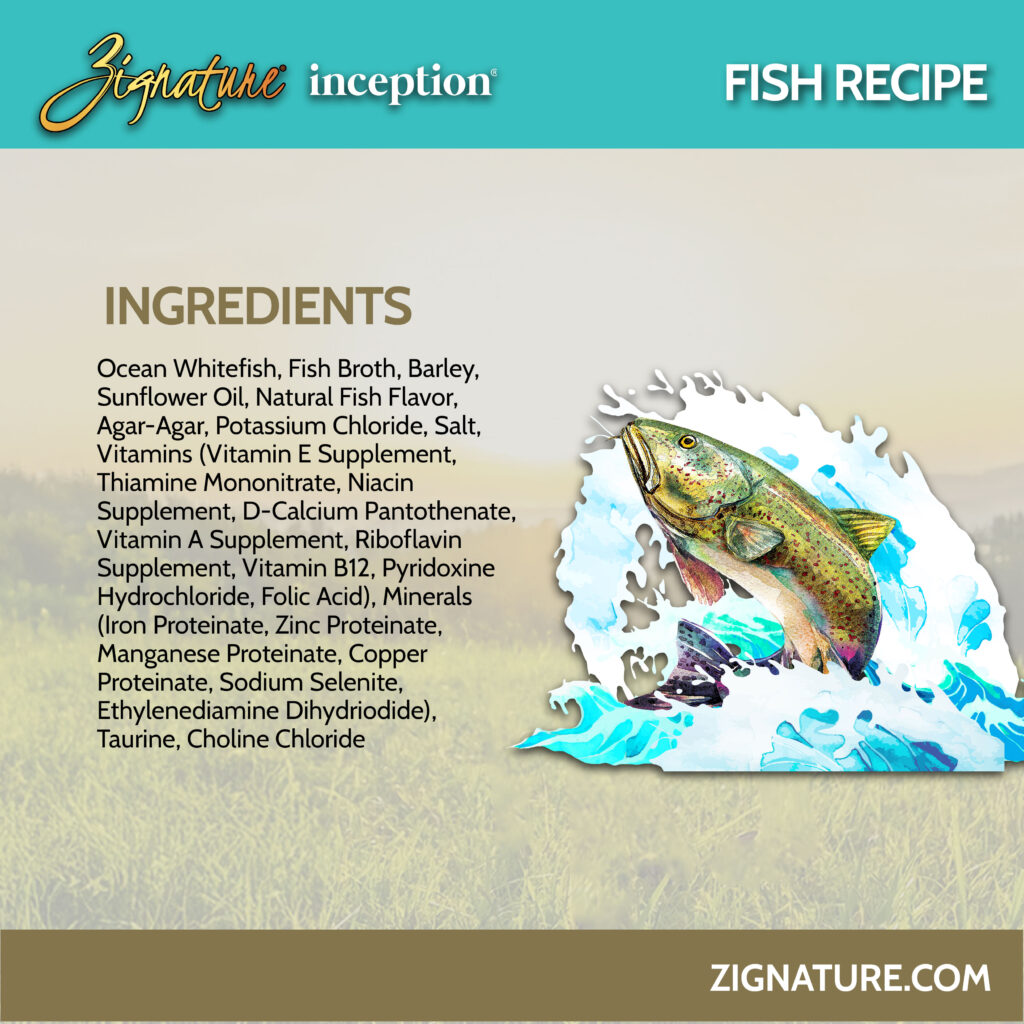 081125_Zig Inception Cans Ecom Graphics_Zig Inception Fish 3