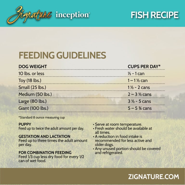 081125_Zig Inception Cans Ecom Graphics_Zig Inception Fish 5