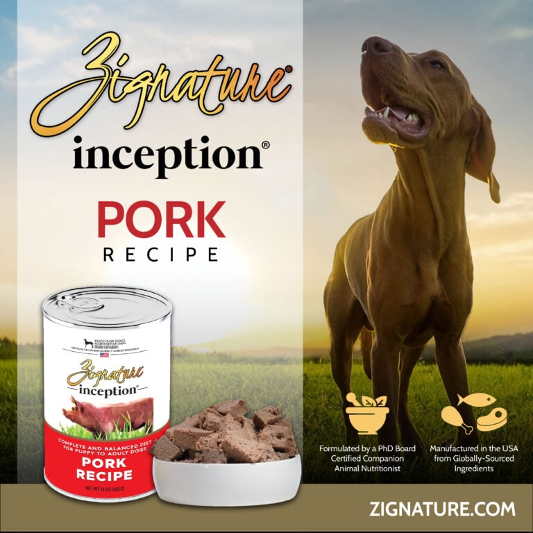 081125_Zig Inception Cans Ecom Graphics_Zig Inception Pork 1