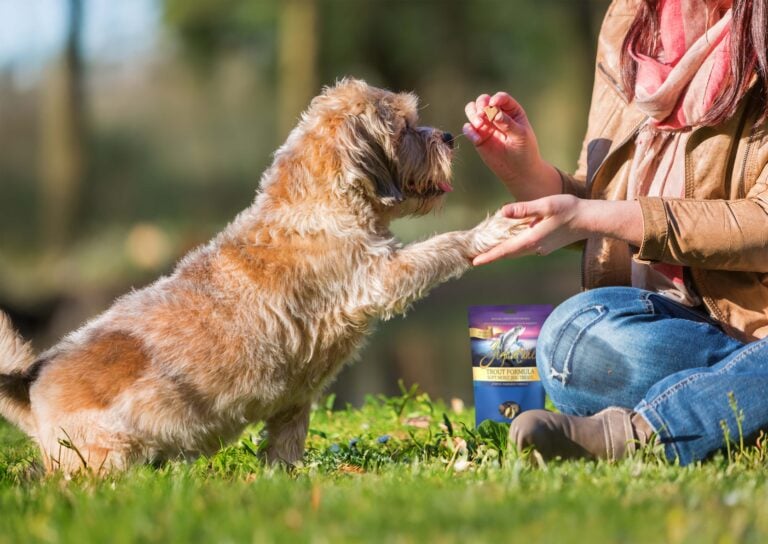 Browse Soft Moist Treats