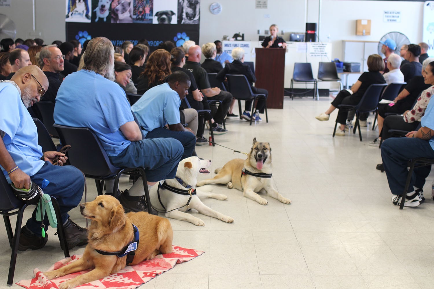 A crowd seated with service dogs listening to a speaker at a podium.