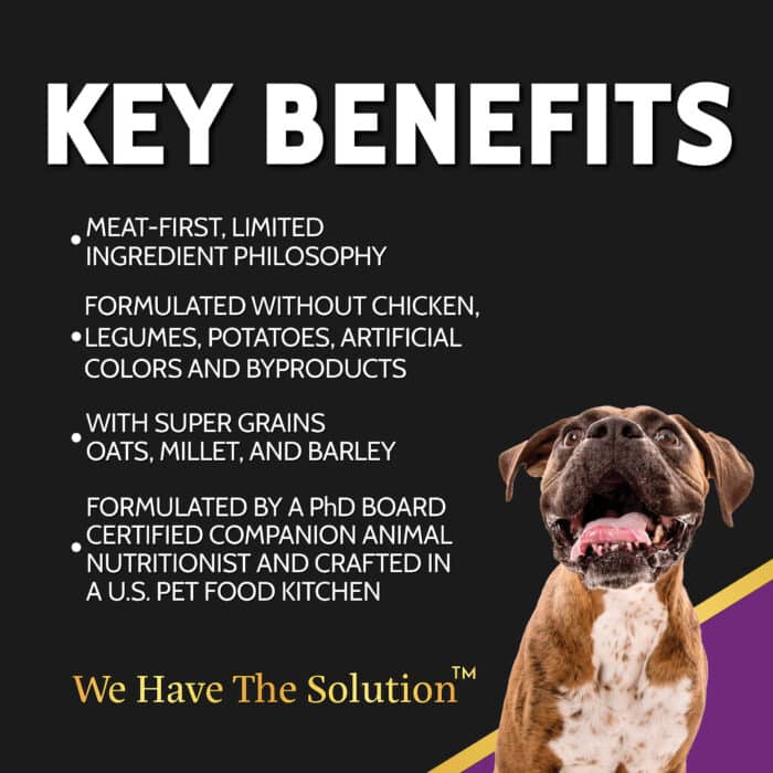 Zignature Select Cuts Kangaroo Formula Dog Food - Image 3