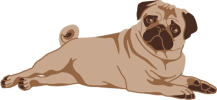 Pug_LayingDown Pug_LayingDown